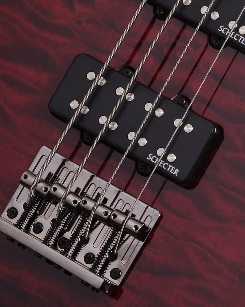 SCHECTER シェクター　RAIDEN SPECIAL-4 ライデン　ベース Schecter Guitar Research Raiden Special-4 Electric Bass